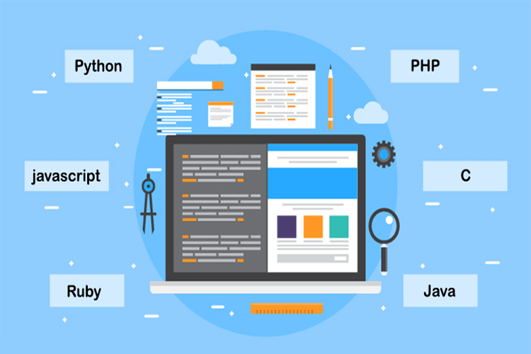 بک اند احسان امینی